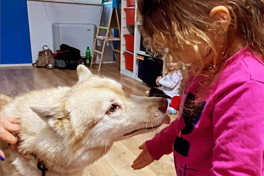 Pet Therapy